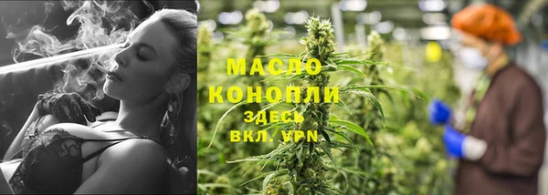 сатива Армянск