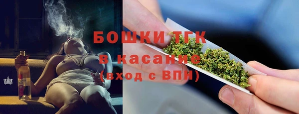 сатива Армянск