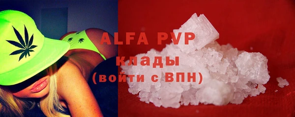 индика Алексин