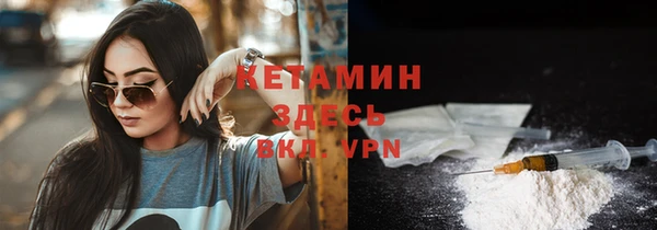 сатива Армянск
