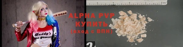 гашик Дмитриев