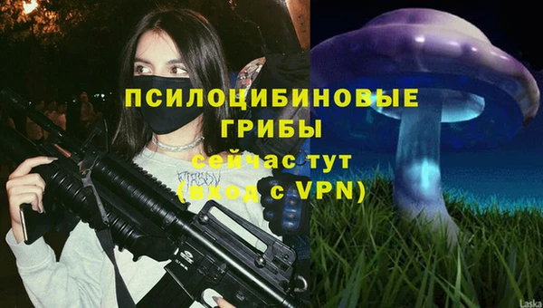 сатива Армянск