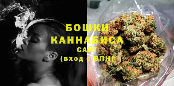 сатива Армянск