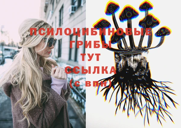 прущая мука Арсеньев